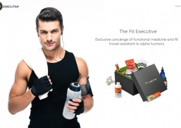 The Fit Executive - Website