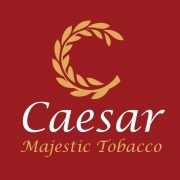 Caesar Tobacco: Branding Logo Design 04