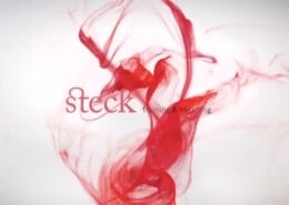 Steck Beratung Munich: Promotional Video