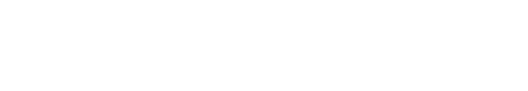 WolkeJet Logo