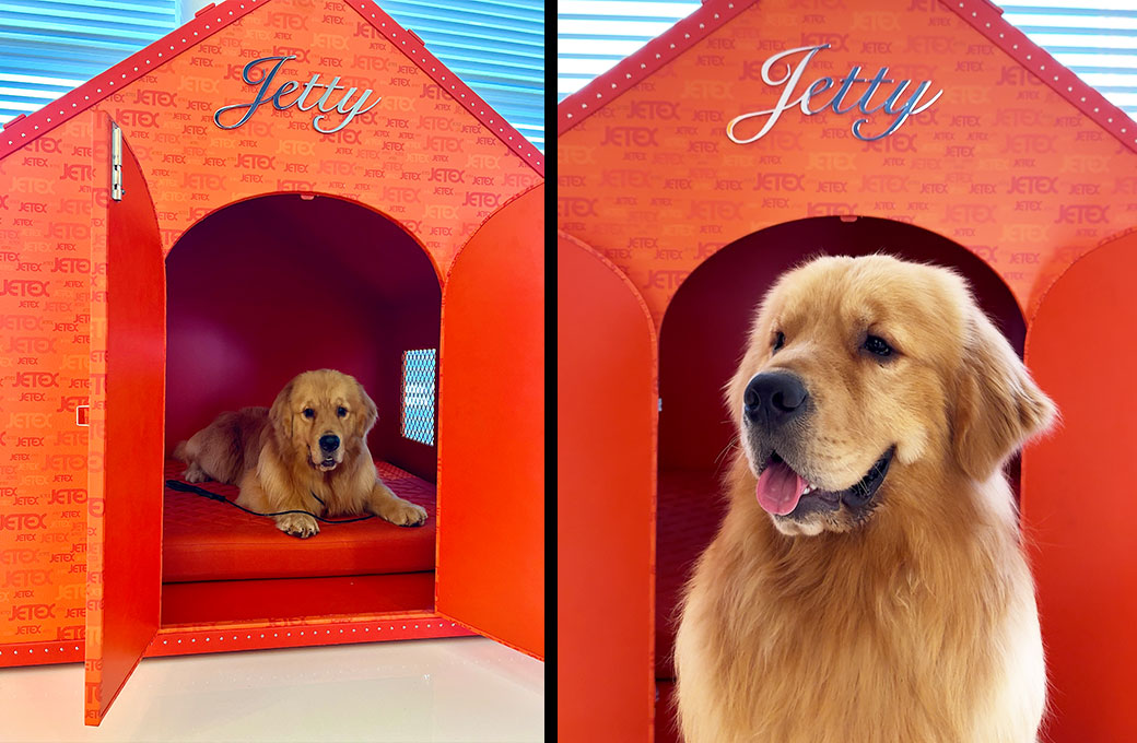 Jetex Dog House Design 2